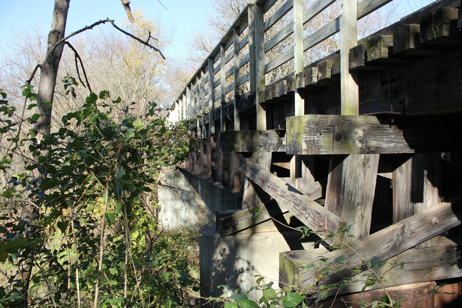 Looking north